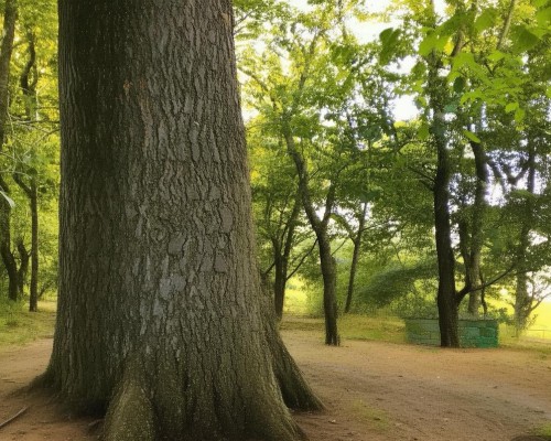 嗯，用户让我写一篇关于鼻综合整形的文章，标题和内容都要写。首先，我得确定标题，得吸引人又专业。可能用鼻综合整形，从外观到气质的全面提升这样的标题，既点明了主题，又有一定的吸引力