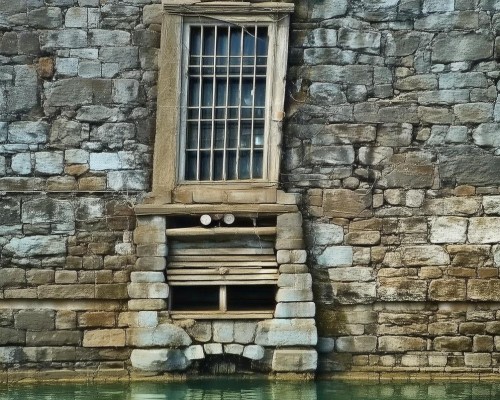 嗯，用户让我写一篇关于自体脂肪移植的文章，标题和内容都要写。首先，我得确定标题，得吸引人又专业。自体脂肪移植现在挺流行的，可能用自体脂肪移植，技术革新与未来展望这样的标题，既点出了主题，又有前景