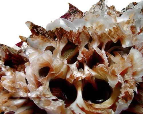 嗯，用户让我写一篇关于鞍鼻改善的文章，标题和内容都要写。首先，我得理解鞍鼻改善是什么。鞍鼻是指鼻腔的结构异常，导致鼻腔狭小，可能影响呼吸和美观。改善鞍鼻可能涉及手术、药物或者其他疗法