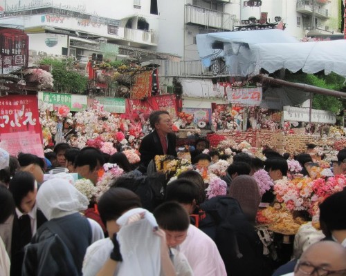 用户还要求写标题，我得想一个吸引人的标题，比如膨体耳手术，耳蜗成形的科学与艺术，这样既涵盖了手术的科学部分，又突出了艺术性