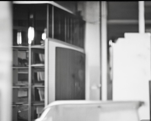 嗯，用户让我写一篇关于鼻头肥大缩小的文章，首先我得确定标题。标题要简洁明了，又能吸引读者，所以鼻头肥大缩小，从外观到功能的全面解析听起来不错，既涵盖了外观也提到了功能，比较全面