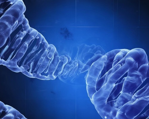 好，用户让我写一篇关于超体的文章，标题和内容都要写。首先，我需要明确超体是什么。可能是指一种超现实的体态，或者是某种科技产物。考虑到用户可能对这个词不太熟悉，我得先做一些研究