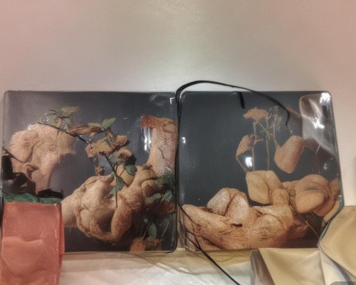 嗯，用户让我写一篇关于鼻尖挛缩的文章，标题和内容都要写。首先，我得弄清楚什么是鼻尖挛缩。可能是指鼻尖部位的肌肉或软组织出现了异常，导致形状或功能异常。我需要查一下相关资料，确认定义和症状