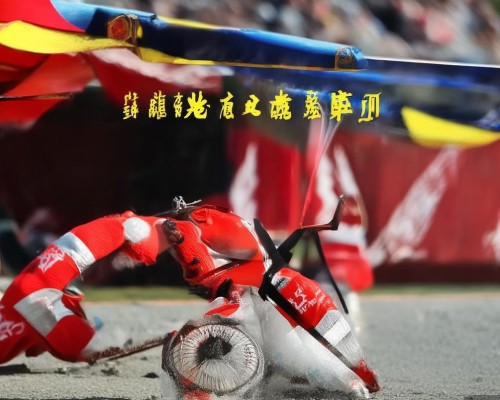 好，用户让我写一篇关于肋骨鼻多少钱的文章，先写标题，再写内容，内容不少于817个字。首先，我需要明确用户的需求。他们可能对肋骨鼻手术的价格不太了解，想了解价格范围、影响因素以及选择建议