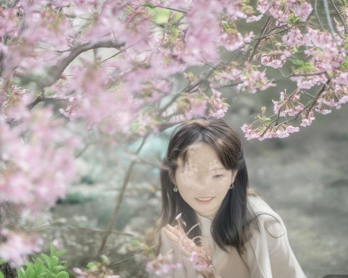 部分需要涵盖诊断、手术方法、恢复过程和预防措施。我得确保每个部分都有足够的细节，但又不显得冗长。首先，诊断部分要说明鼻部结构异常的表现，比如鼻中隔偏曲、鼻甲肥大等，以及检查方法，如CT扫描和MRI