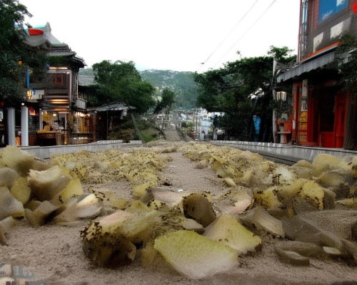 嗯，用户让我写一篇关于垫高鼻梁的文章，首先我得确定标题。标题要吸引人，同时明确主题，所以垫高鼻梁，从美学到功能性，全方面解析这个标题不错，涵盖了美学和功能性两个方面