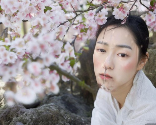 外伤性鼻畸形修复技术及应用进展